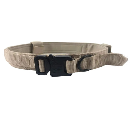 Verstellbares Nylon Hundehalsband mit Robustem Klickverschluss