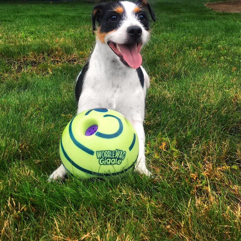 Kreativer Hundespielball mit interaktiven Funktionen