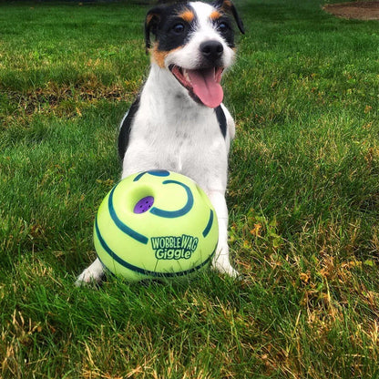 Kreativer Hundespielball mit interaktiven Funktionen