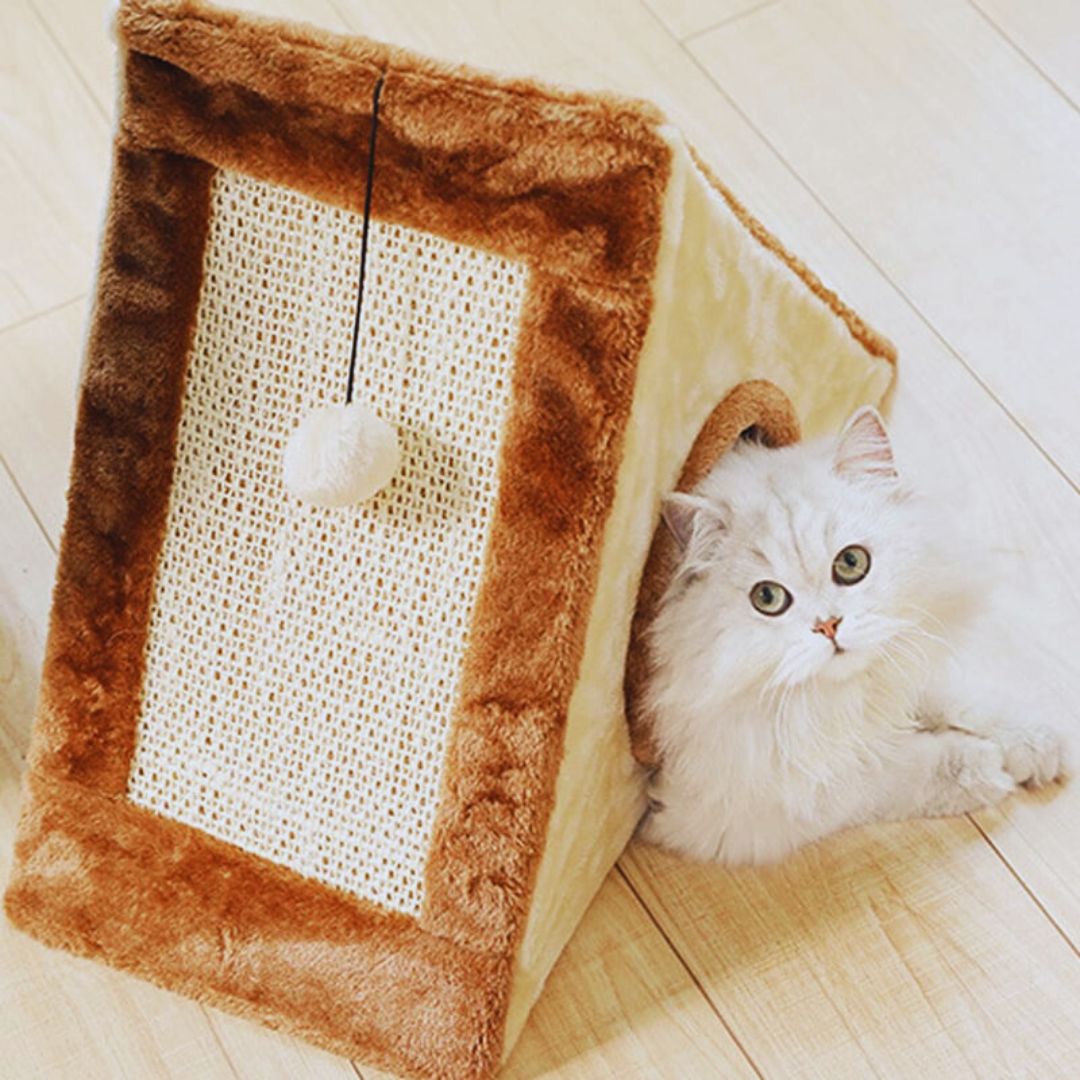 Katzenhaus in Zeltform mit Kratzfläche und Spielball für Drinnen