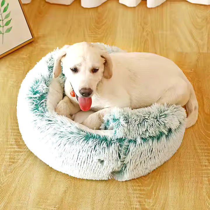 2in1 Hunde Kuschelhöhle