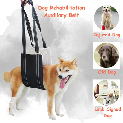 Hunde-Stützgeschirr - Verstellbarer Rehabilitationsgurt