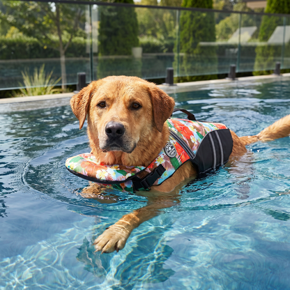 Sicherheits-Schwimmweste für Hunde mit Rettungsgriff