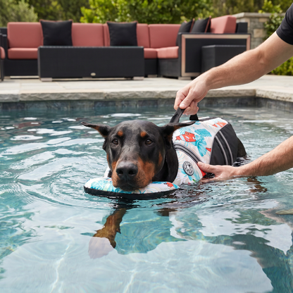 Sicherheits-Schwimmweste für Hunde mit Rettungsgriff