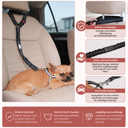 Hunde Auto Sicherheitsgurt
