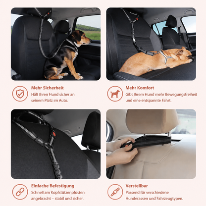 Hunde Auto Sicherheitsgurt