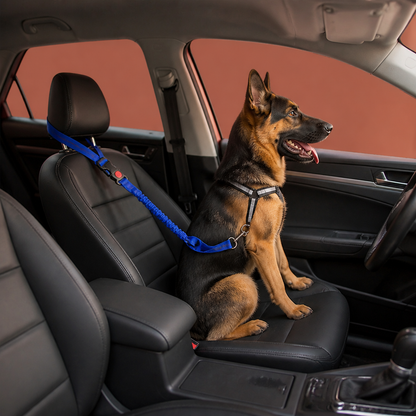 Hunde Auto Sicherheitsgurt