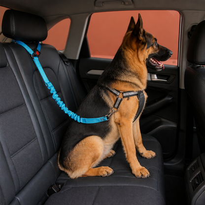 Hunde Auto Sicherheitsgurt