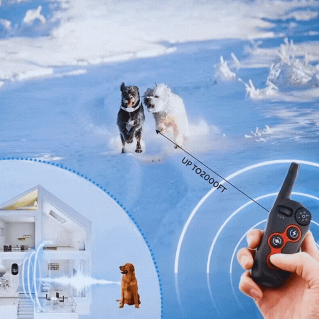 Elektronisches Hundetrainingshalsband und Vibrationsfunktion – Reichweite Bis 800m