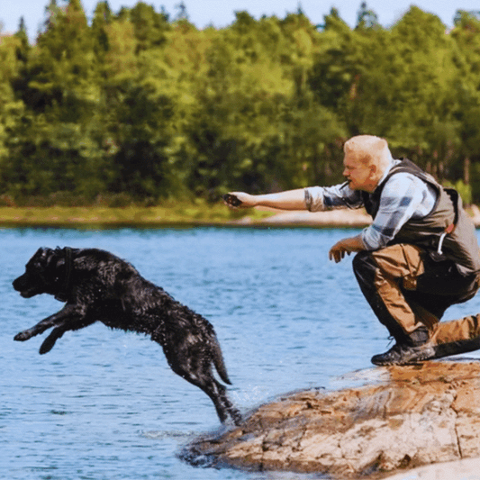 Elektronisches Hundetrainingshalsband und Vibrationsfunktion – Reichweite Bis 800m