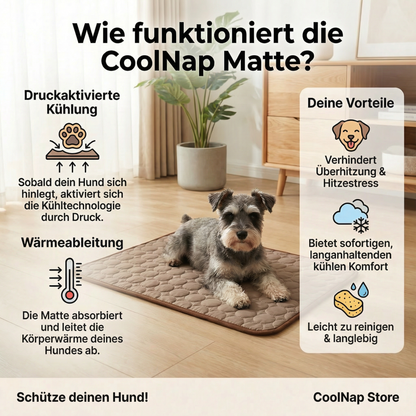 Schütze deinen Hund vor Überhitzung und gefährlichem Hitzestress mit CoolNap
