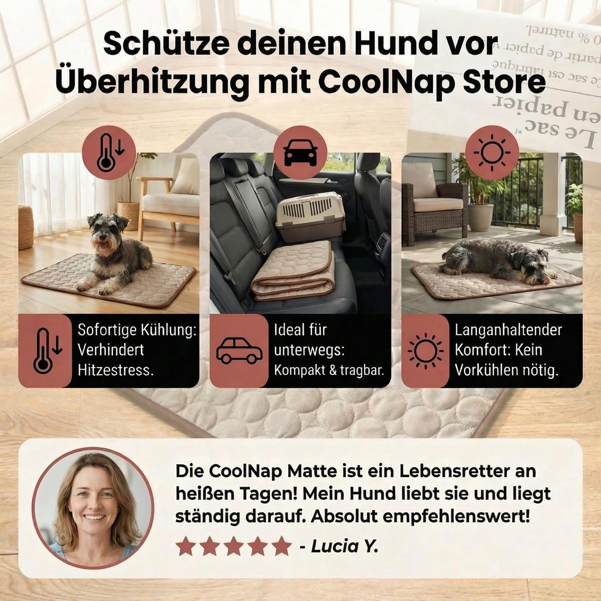 Schütze deinen Hund vor Überhitzung und gefährlichem Hitzestress mit CoolNap
