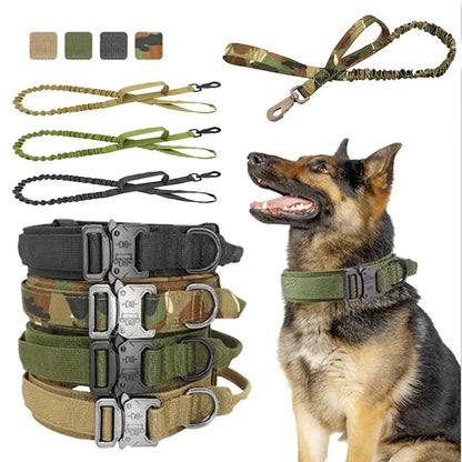 Verstellbares Nylon Hundehalsband mit Robustem Klickverschluss
