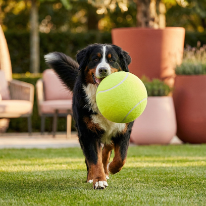 Robuster Riesen Tennis Ball Hundespielzeug
