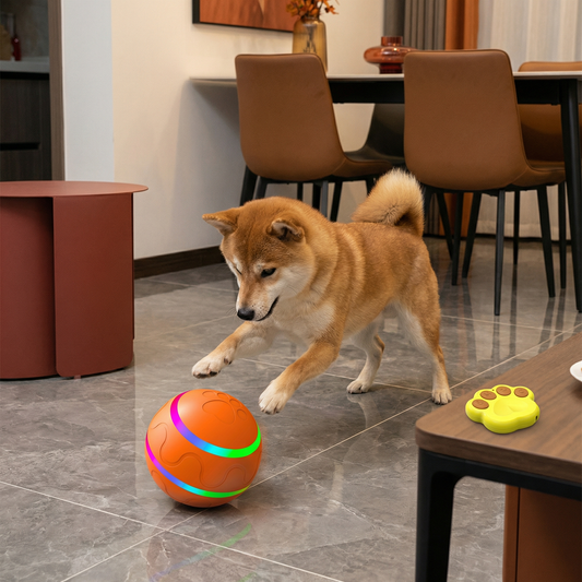 Robuster und Langlebiger Selbstrollender Hunde Spielball