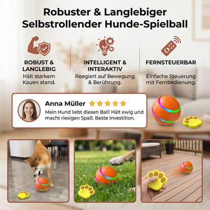 Robuster und Langlebiger Selbstrollender Hunde Spielball
