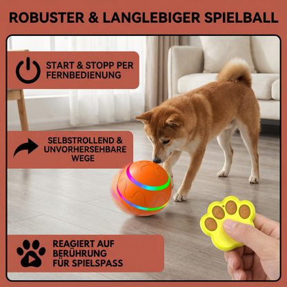 Robuster und Langlebiger Selbstrollender Hunde Spielball