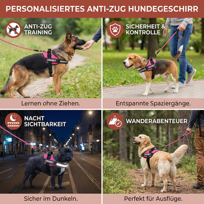 Personaliertes Anti-Zug Hundegeschirr